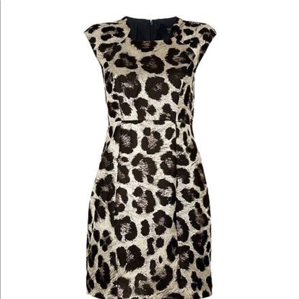 Tibi Leopard Dress